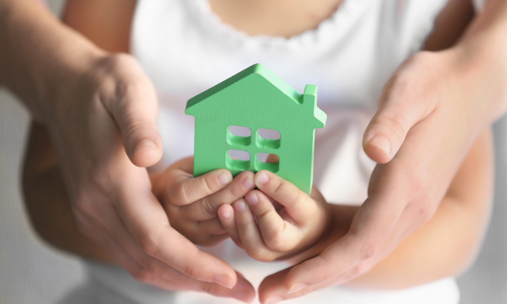 Announcing the Launch of the Family Preservation Alliance website